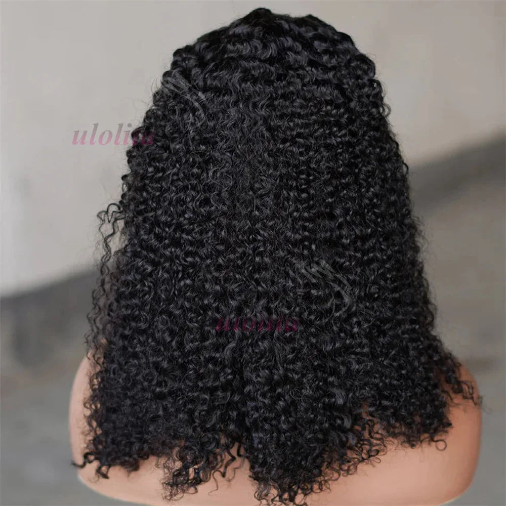 Braided Kinky Curly Unit
